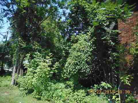 5901 Harrell (5)_m.jpg